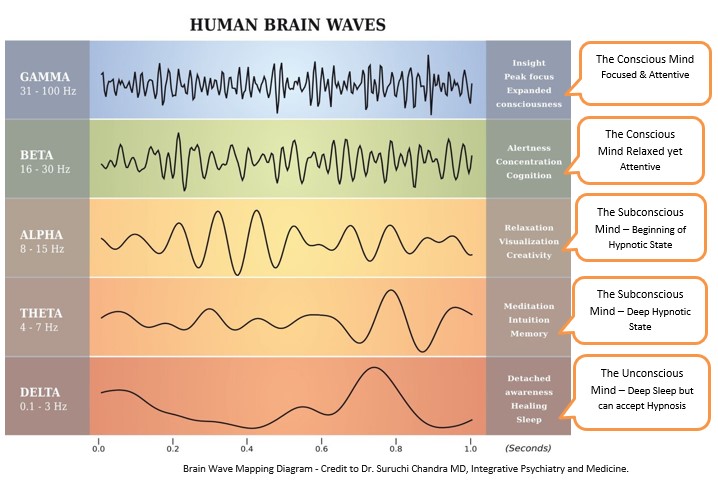 brainwaves